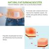 Weight Loss Patches, Fat Burning Sticker for Beer Belly, Buckets Waist, Waist Abdominal Fat, Quick Slimming and Boost Energy - 90 Pcs